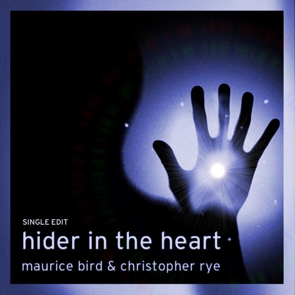 Cover art for Hider in the Heart